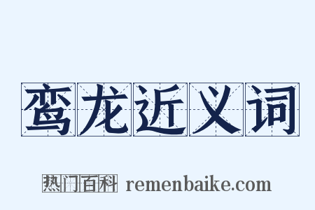 鸾龙近义词是什么意思的图片